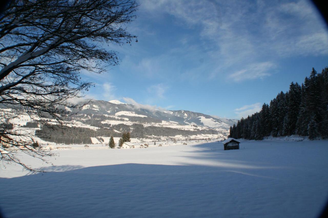 Oase Der Ruhe Apartment Hollersbach im Pinzgau Luaran gambar